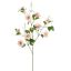 CLEMATIS DIAMANTINA 115CM PINK