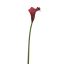 SMALL CALLA BURGUNDY