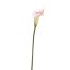 SMALL CALLA PINK