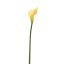 SMALL CALLA YELLOW