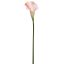 MEDIUM CALLA PINK