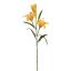 LILY X3 SPRAY 70CM YELLOW
