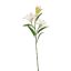 LILY X3 SPRAY 70CM CREAM