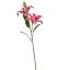 LARGE LILY X2 87CM BEAUTY