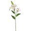 LARGE LILY X2 87CM CREAM