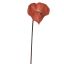 ANTHURIUM 67CM BROWN