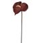ANTHURIUM 67CM DARK BROWN
