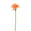 HIPPEASTRUM SPRAY 77CM ORANGE