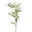 MINI LILY BRANCH 65CM CREAM