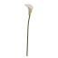 SINGLE MEDIUM CALLA 58CM CREAM