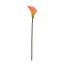 SINGLE MEDIUM CALLA ORANGE YELLOW