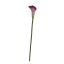 SINGLE MEDIUM CALLA 58CM PURPLE GREEN