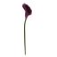 SINGLE CALLA 72CM DARK PURPLE