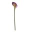 SINGLE CALLA PURPLE GREEN