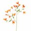 TIGER LILY SPRAY 112CM ORANGE