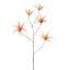 HIPPEASTRUM 96CM PEACH