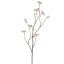 LARGE LIMONIUM 110CM CREAM PINK