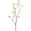 LARGE LIMONIUM 110CM YELLOW