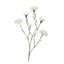CARNATION SPRAY X 3 71CM CREAM