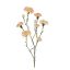 CARNATION SPRAY X 3 71CM YELLOW PINK
