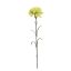 SINGLE CARNATION 60CM GREEN