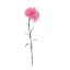 SINGLE CARNATION 60CM PINK