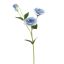 LYSIANTHUS 67CM BLUE