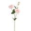 LYSIANTHUS 67CM PINK