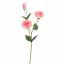 LYSIANTHUS 67CM SALMON
