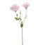 LYSIANTHUS 70CM LILA