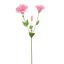 LYSIANTHUS 70CM PINK