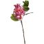 BAUHINIA SPRAY 60CM BEAUTY