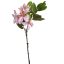 BAUHINIA SPRAY 60CM PINK