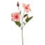 HIBISCUS SPRAY 66CM PEACH
