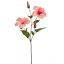 HIBISCUS SPRAY 66CM PINK