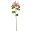BAUHINIA SPRAY 75CM CREAM PINK