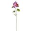 BAUHINIA SPRAY 75CM LAVENDER