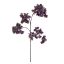 LARGE BOUGAINVILLEA 120CM PURPLE