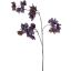 BOUGAINVILLEA 90CM PURPLE