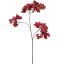 BOUGAINVILLEA 90CM RED