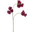 COBEA SPRAY 90CM BURGUNDY