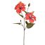 HIBISCUS SPRAY 70CM RED