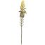 ALOE FLOWER BRANCH 38CM GREEN