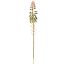 ALOE FLOWER BRANCH 38CM ORANGE