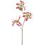 GLORIOSA X3 SPRAY 64CM BEAUTY