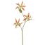 GLORIOSA X3 SPRAY 64CM GREEN PINK