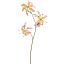 GLORIOSA X3 SPRAY 64CM PINK