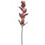LAMIUM SPRAY 70CM BEAUTY