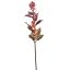 LAMIUM SPRAY 70CM PEACH