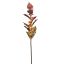 LAMIUM SPRAY 70CM YELLOW